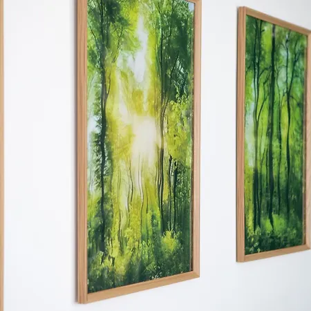 Magic Forest - Peaceful, Comfortable & Bright