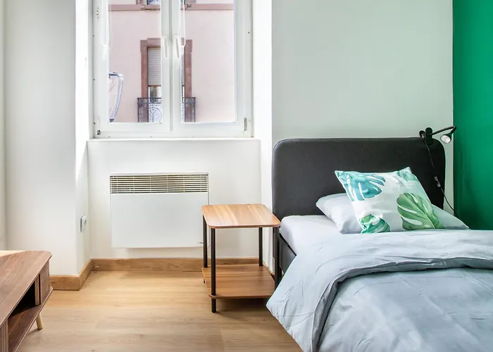Magic Forest - Peaceful, Comfortable & Bright Apartment